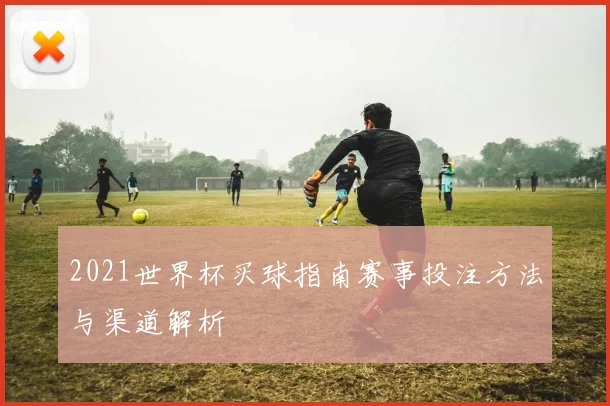 2021世界杯买球指南赛事投注方法与渠道解析