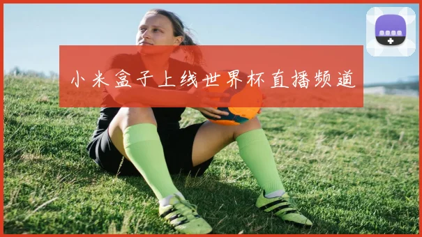 小米盒子上线世界杯直播频道