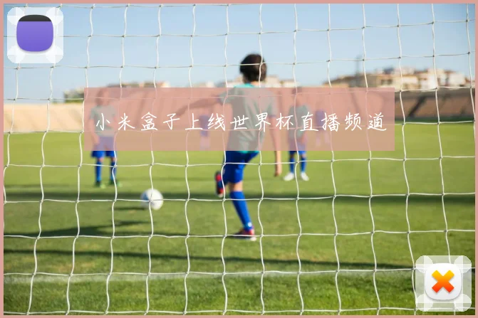 小米盒子上线世界杯直播频道